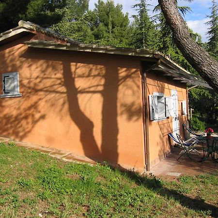Capodacqua  Malvarina מראה חיצוני תמונה